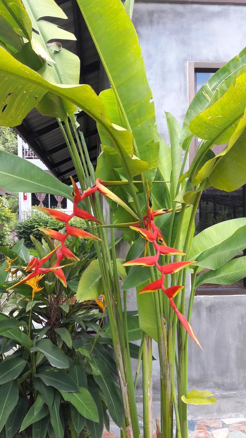 Maehaad Garden Inn Mae Haad Esterno foto